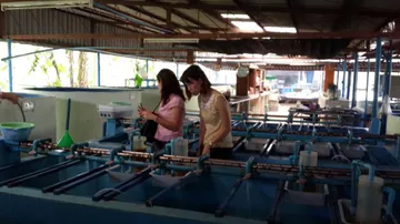 iTopPlus1301780548822