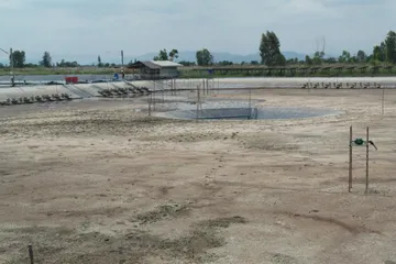 iTopPlus543386066119