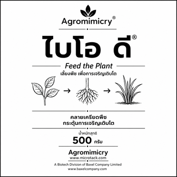ไบโอดี