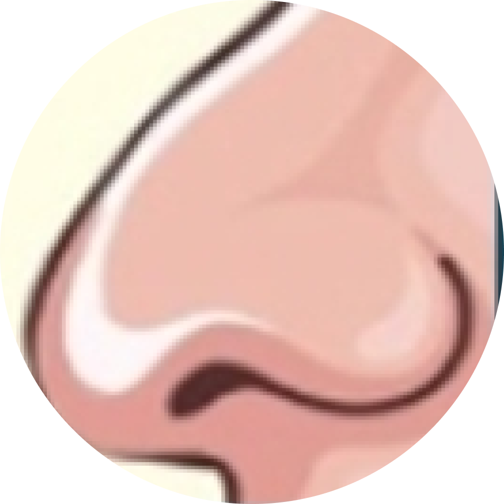Ellipse40