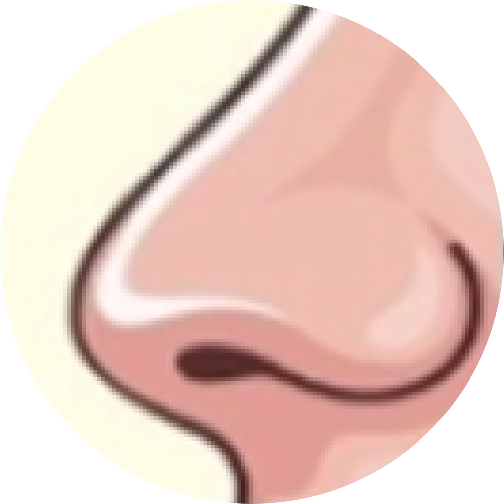 Ellipse41