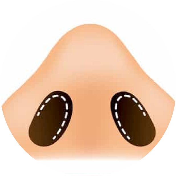 66543adb46d4043fe4c04fb0Ellipsepercent204