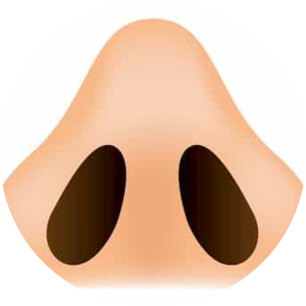 66543adb46d4043fe4c04fb0Ellipsepercent204
