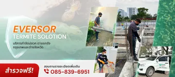 eversorsolution-slide-01