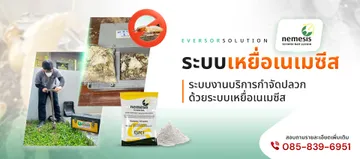 eversorsolution-slide-02