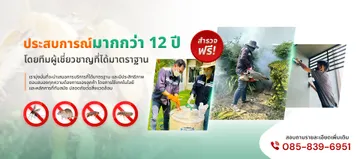 eversorsolution-slide-03
