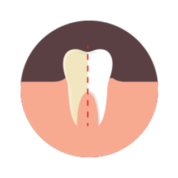 cheezedental-icon5