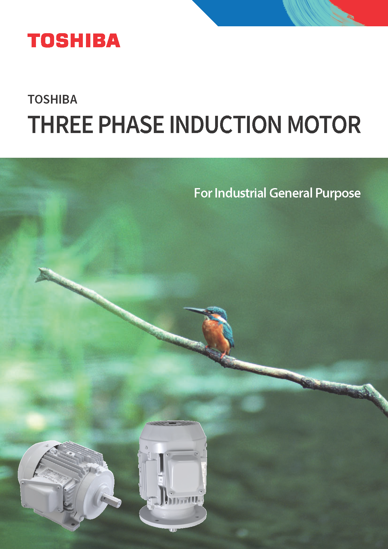 TOSHIBA 3 PHASE INDUCTION MOTOR
