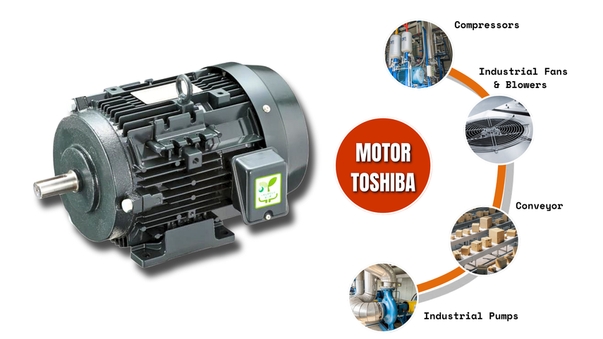 motorie3toshiba