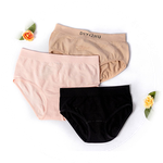 bamboo-green-icon1
