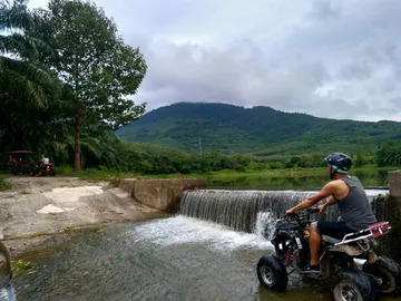 S70033590