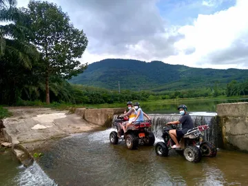 S70033592