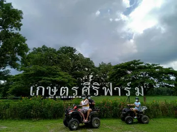 S70033593
