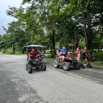 S70033596