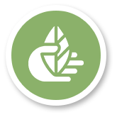 adenhealthchiangmaiicon6