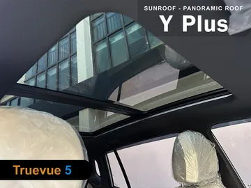 YPlusTV5