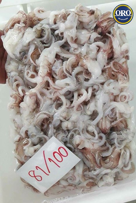 giant squid ราคา eng