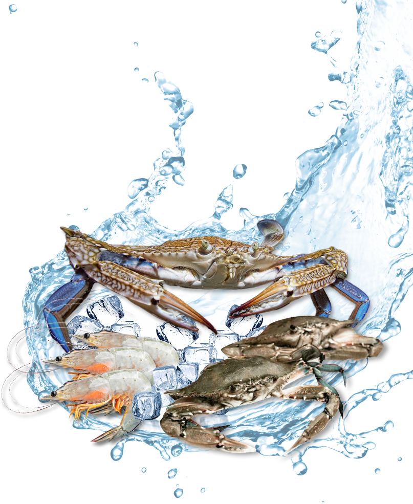 oroseafoods-about1