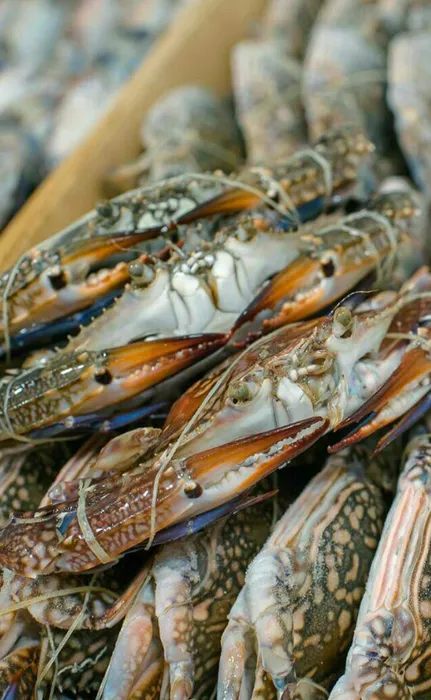 oroseafoods-product3