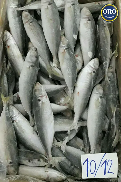 ปลาทูแขก