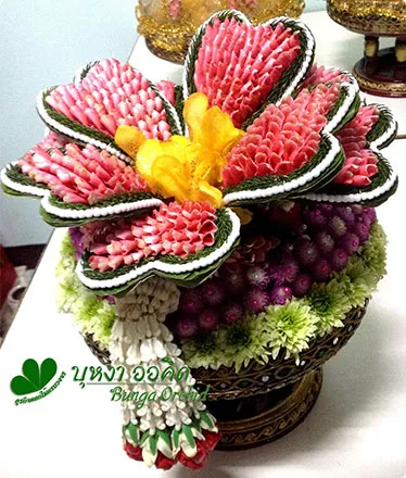 bungaorchid13