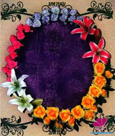 bungaorchid1