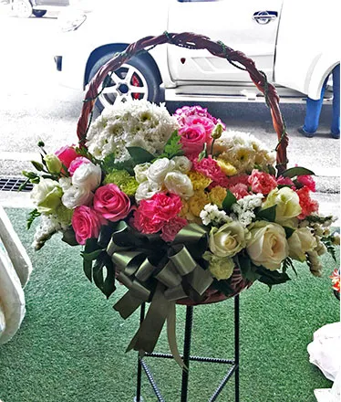 bungaorchid9