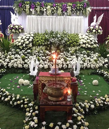 bungaorchid16