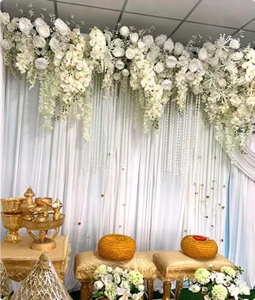 bungaorchid17