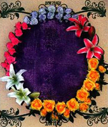 bungaorchid7