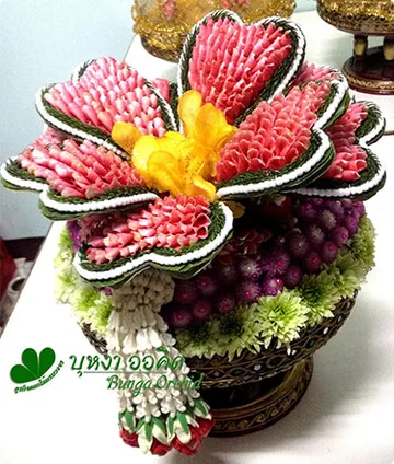 bungaorchid9