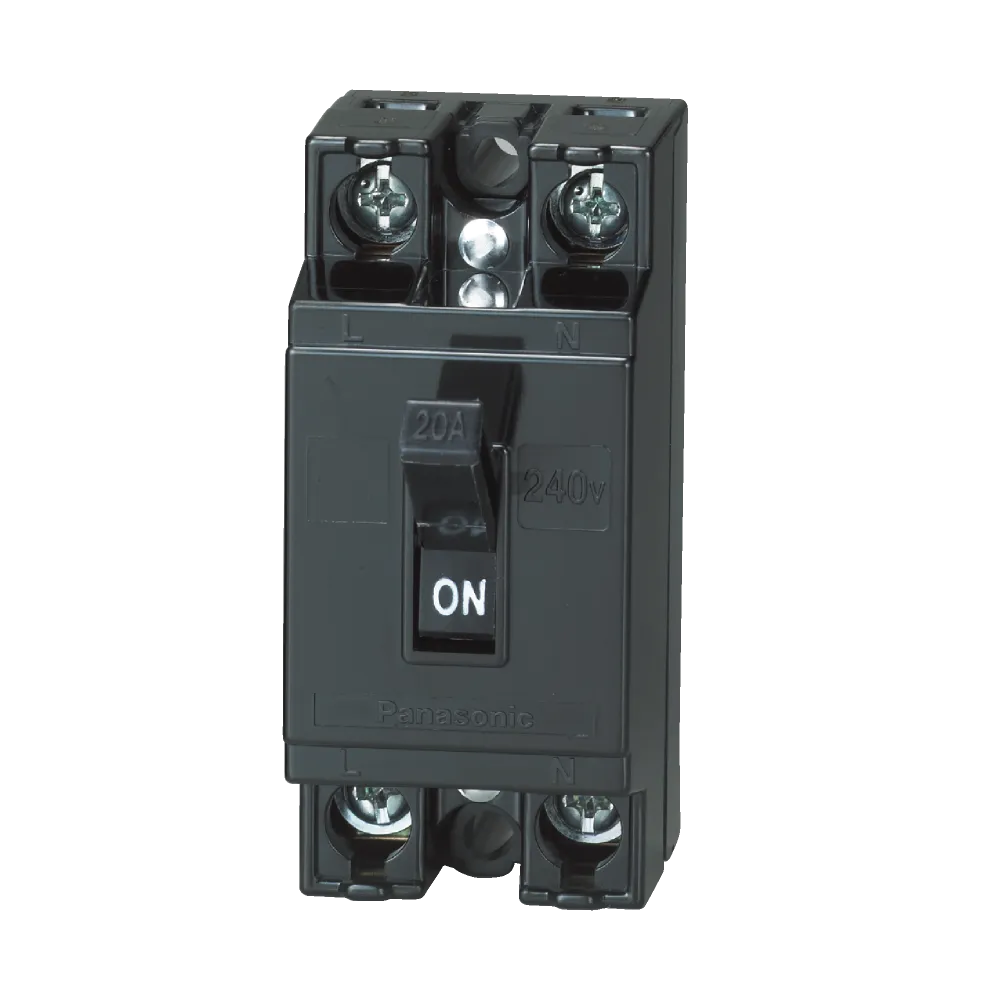 Pana2P10A