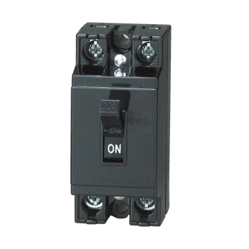 Pana2P10A