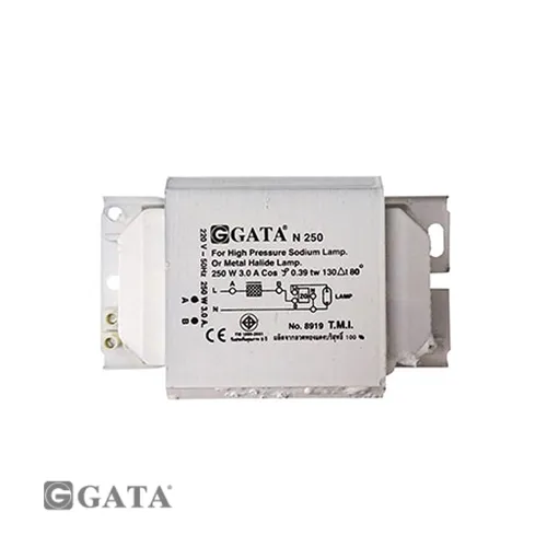 Gata-N250logo