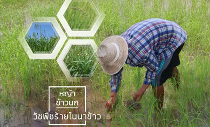 c-agrotech-(1)
