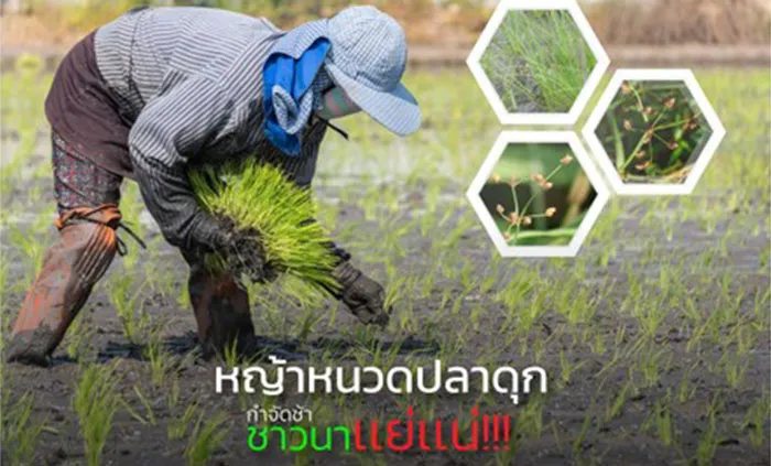 c-agrotech-(1)
