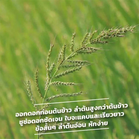 c-agrotech-(2)