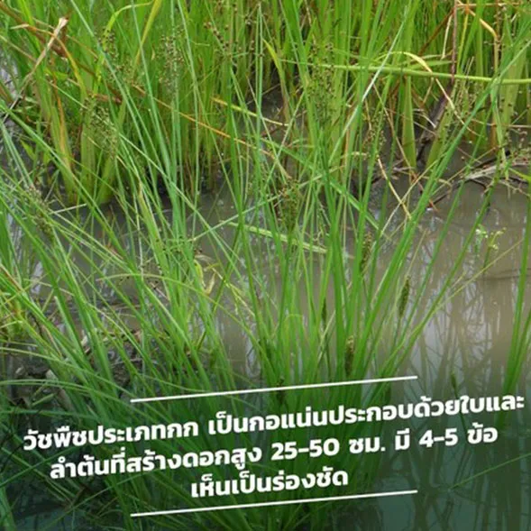 c-agrotech-(2)