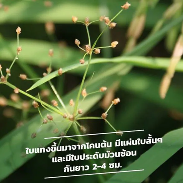 c-agrotech-(3)