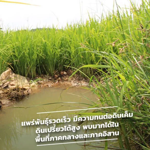 c-agrotech-(3)