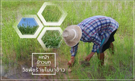 c-agrotech-news2