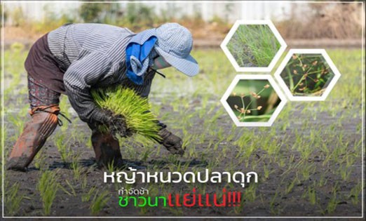 c-agrotech-news3