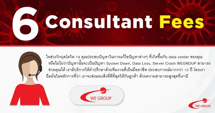 Consultant-Fees