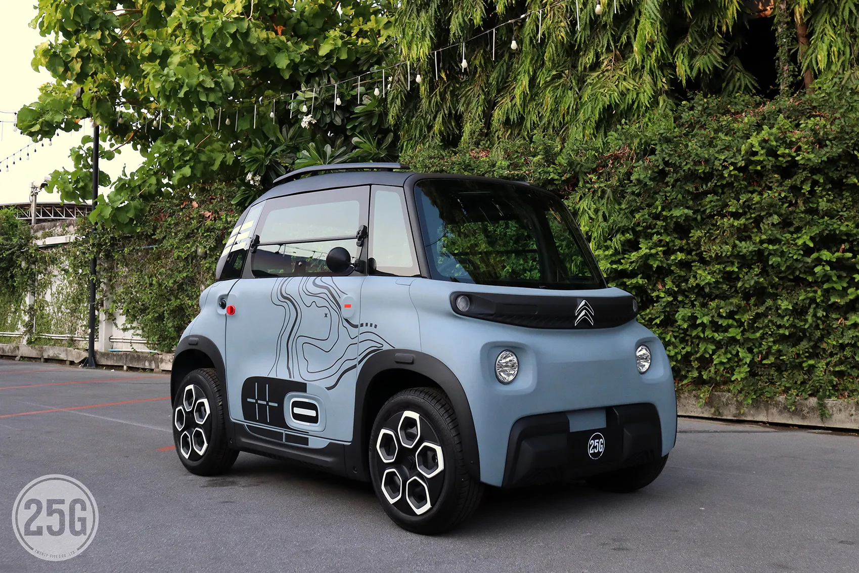 Citroen electric sales