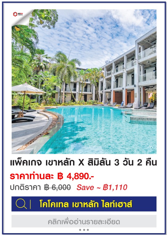KL-kokotel1