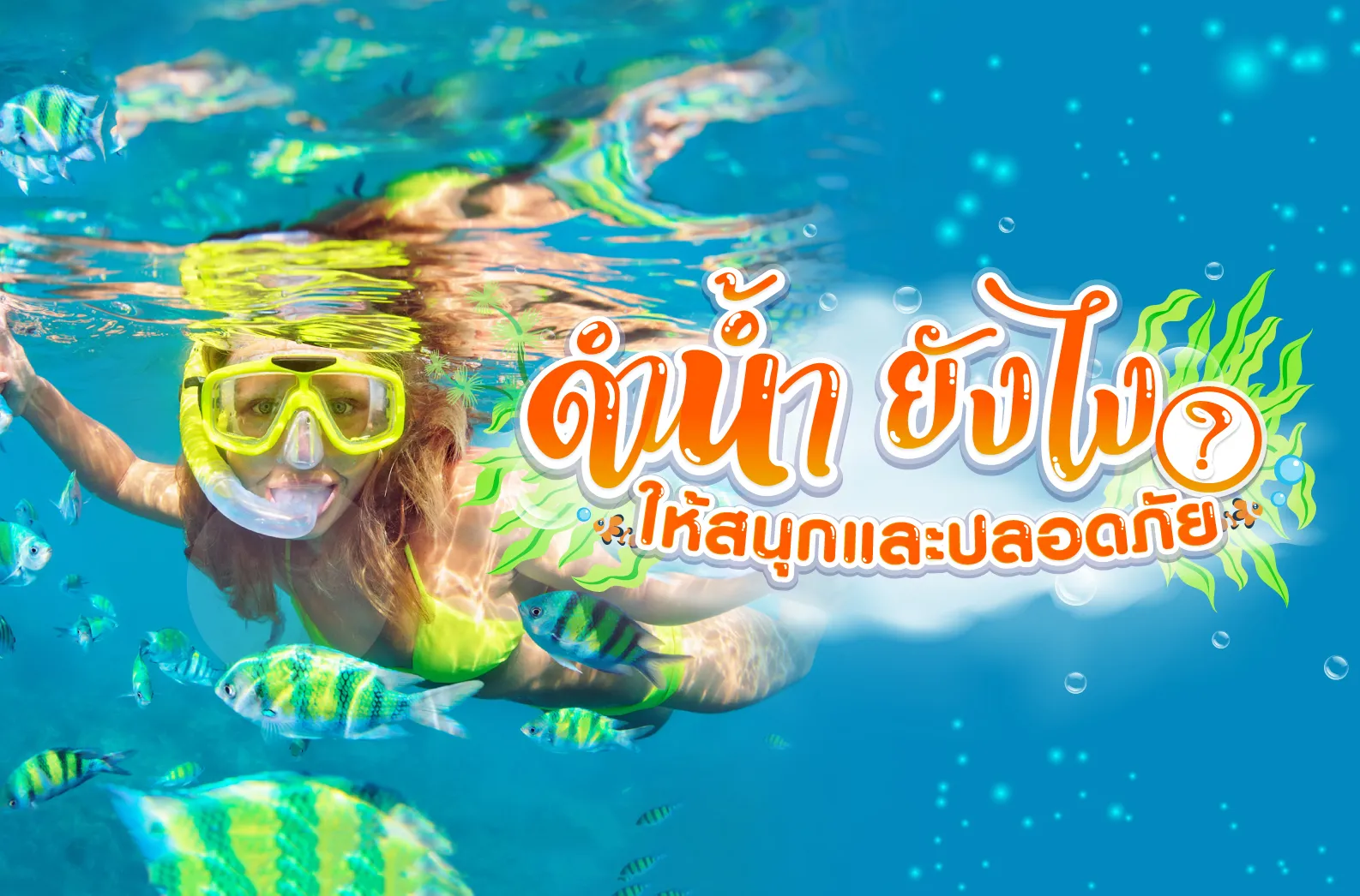 ดำน้ำยังไงให้ปลอดภัย-www