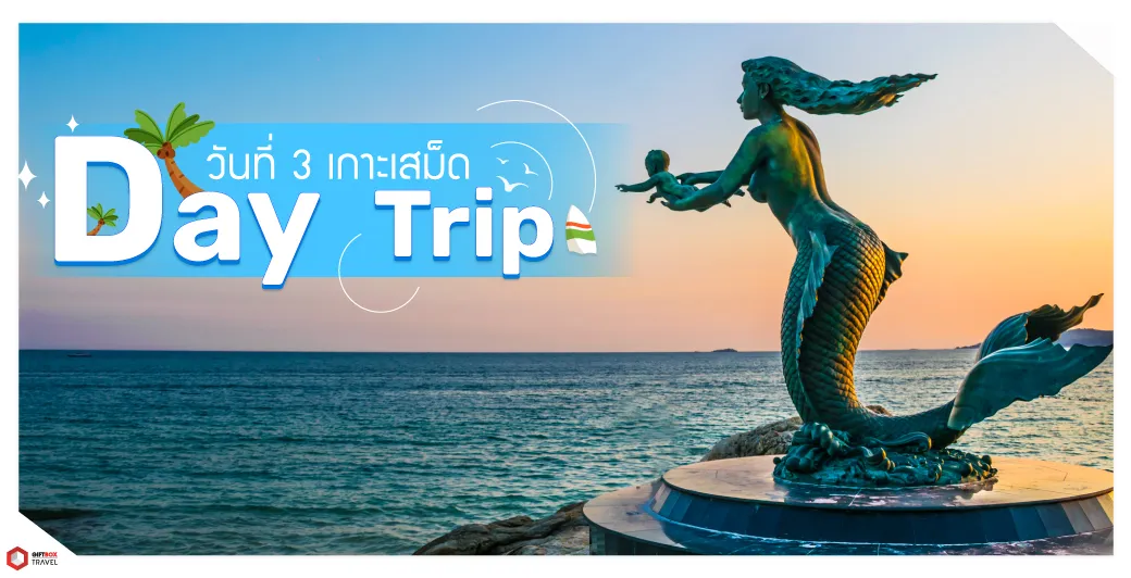 3บทความ--เดย์ทริปเสม็ด