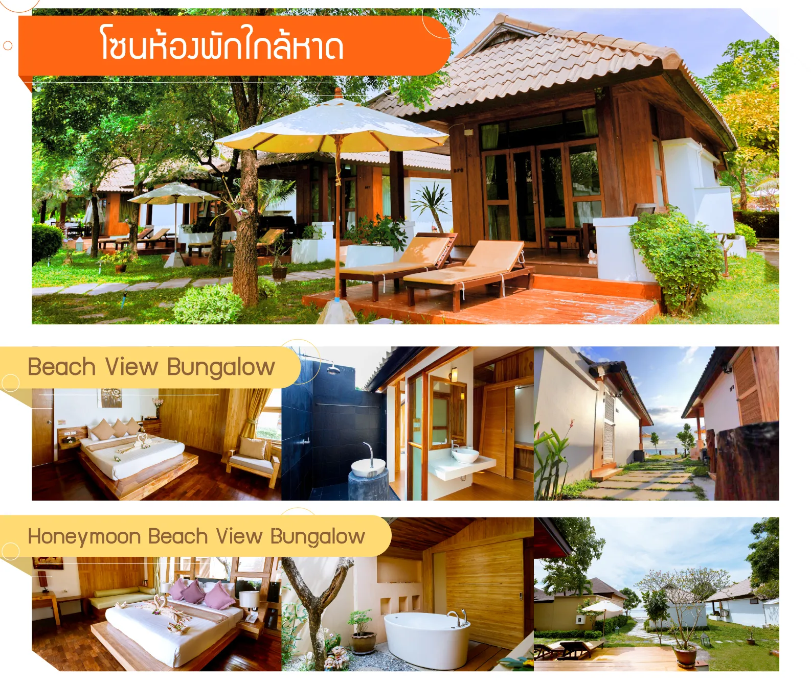 บทความ-Lipe--16