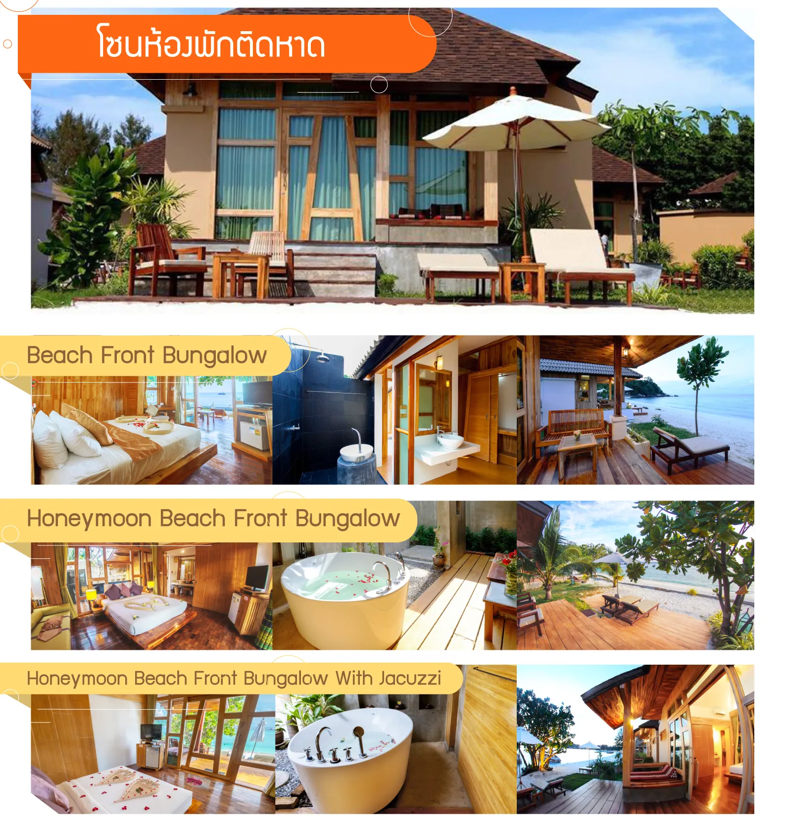 บทความ-Lipe--17