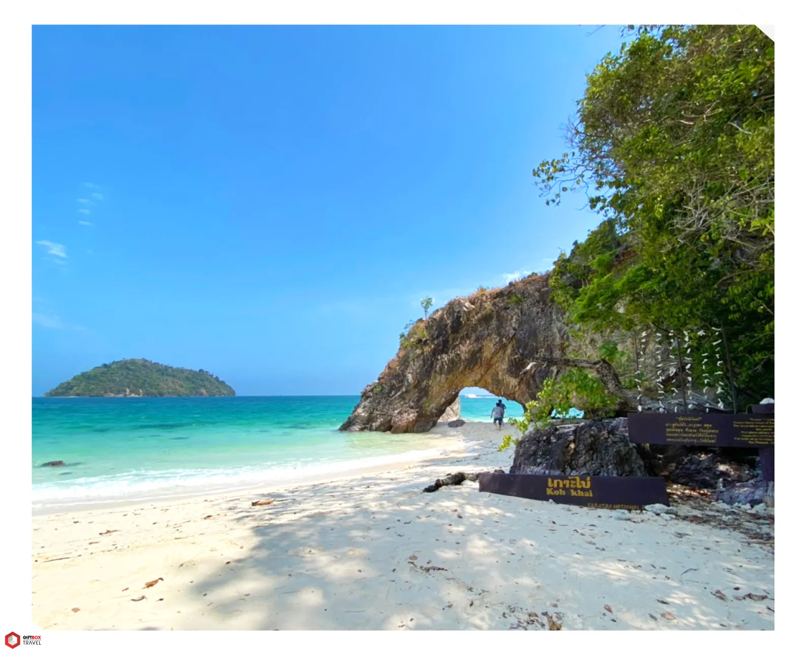 บทความ-Lipe-4